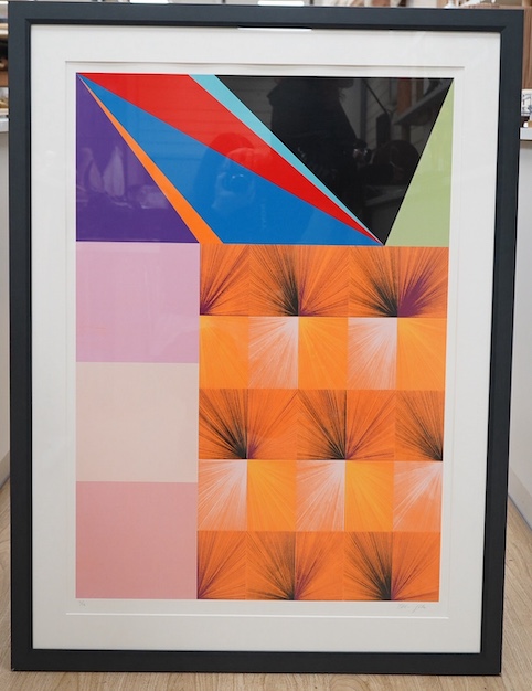 Luthur Gotz (b.1963), contemporary colour screenprint, ‘Durchgangszimmer Orange’, limited edition 11/75, signed in pencil, 88 x 61cm. Condition - good